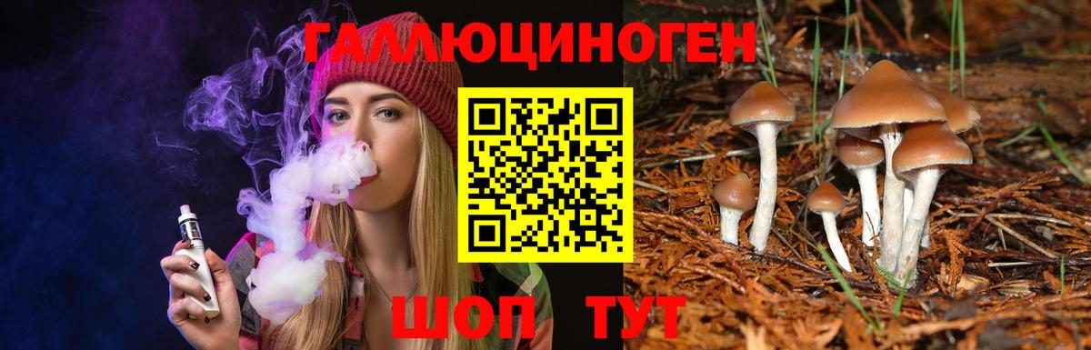 Краснокаменск  Псилоцибиновые грибы Magic Shrooms  Вход с VPN 